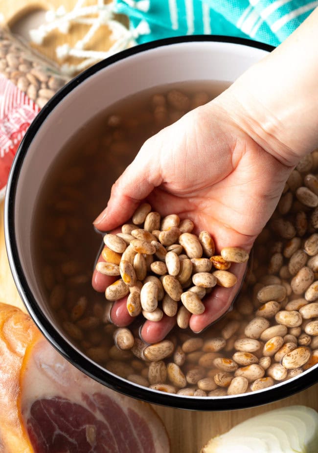 Hand holding some beans that are soaking in water in a pot.