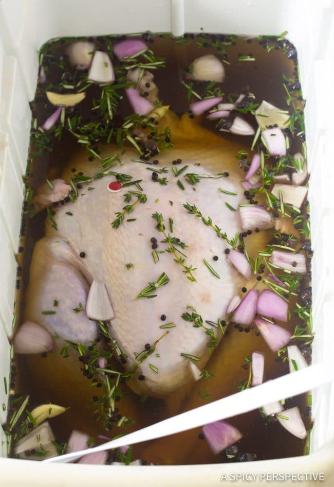 Raw turkey in a turkey brine in a large cooler.