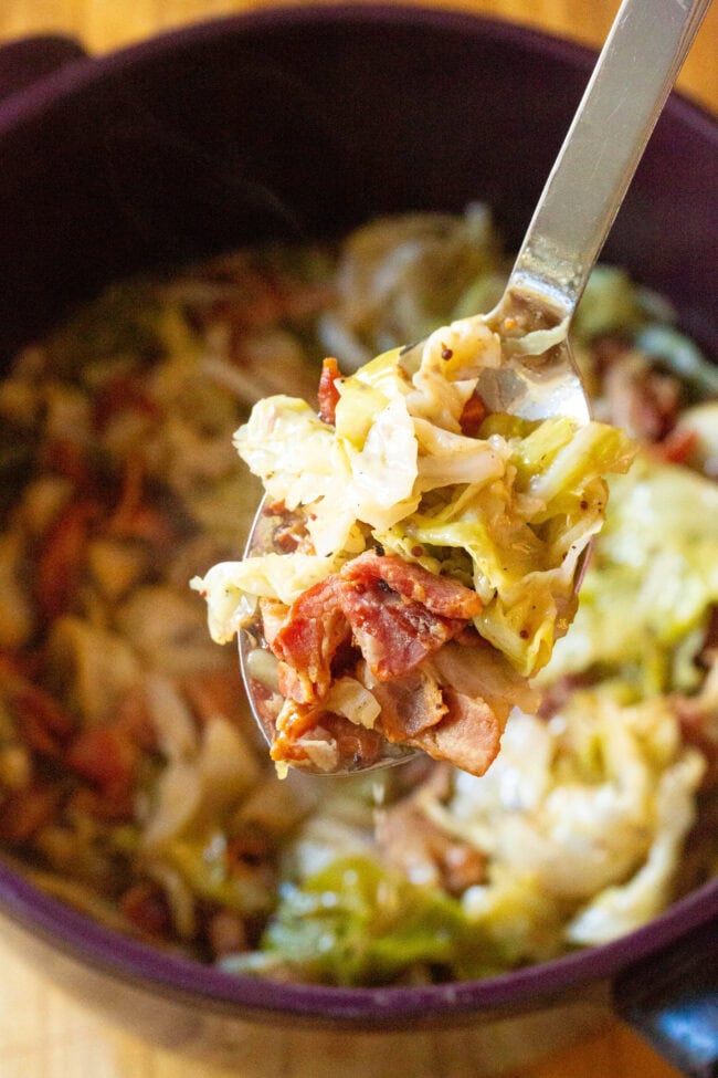 Perfect Irish Cabbage and Bacon Recipe for Saint Patrick's Day! #ASpicyPerspective #IrishCabbageBacon #Irish #Cabbage #Bacon #StPatricksDay #Dinner #SideDish Irish Bacon and Cabbage in a stock pot with a spoon holding a portion above it.